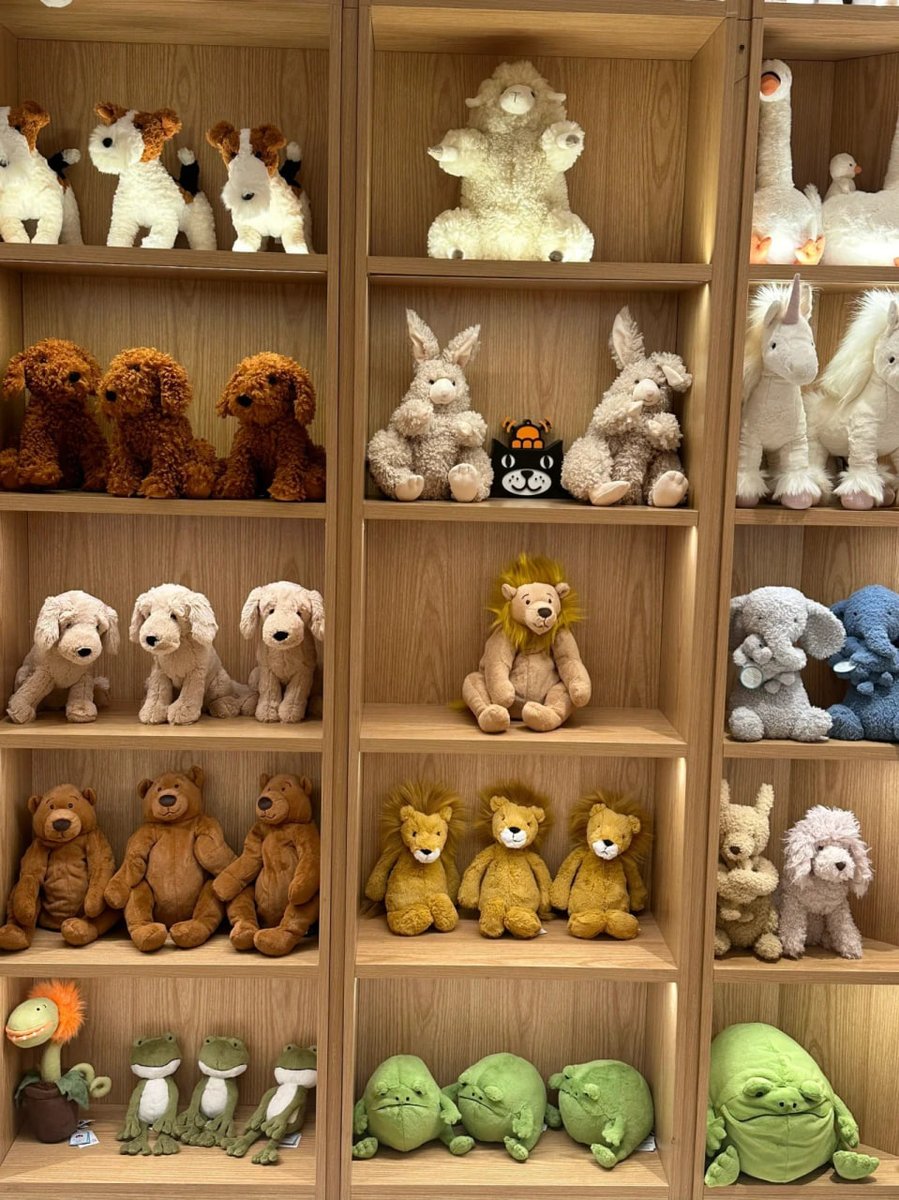 lovedark2525's tweet photo. The toy shelves of this store look neat and beautiful🙀🧸 https://t.co/kRdlsIps3f