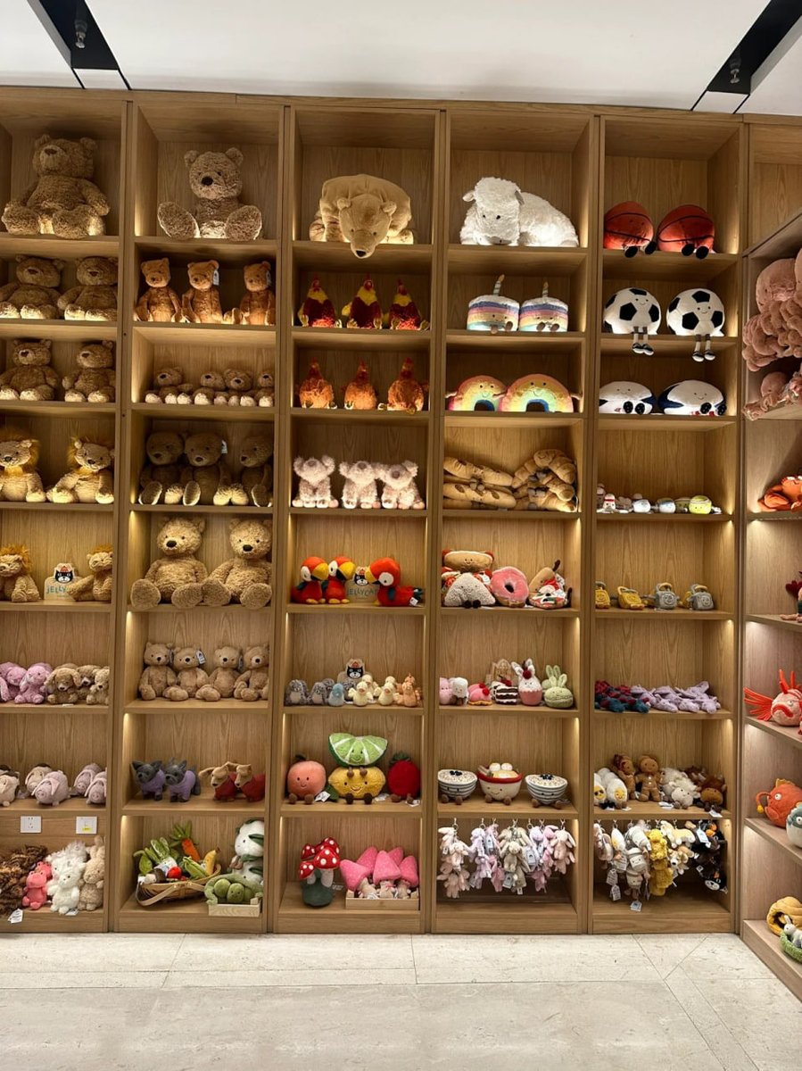 lovedark2525's tweet photo. The toy shelves of this store look neat and beautiful🙀🧸 https://t.co/kRdlsIps3f