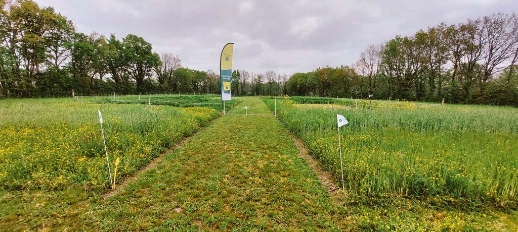 Damien Toublanc tweet media