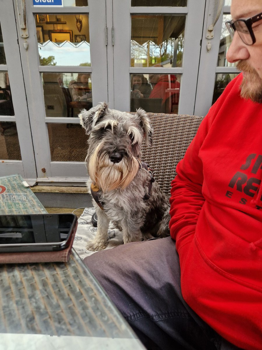 Out in pubby for my hoosis birfday. There may be some gammon coming. The things I do to please my hoos *rolls eyes*