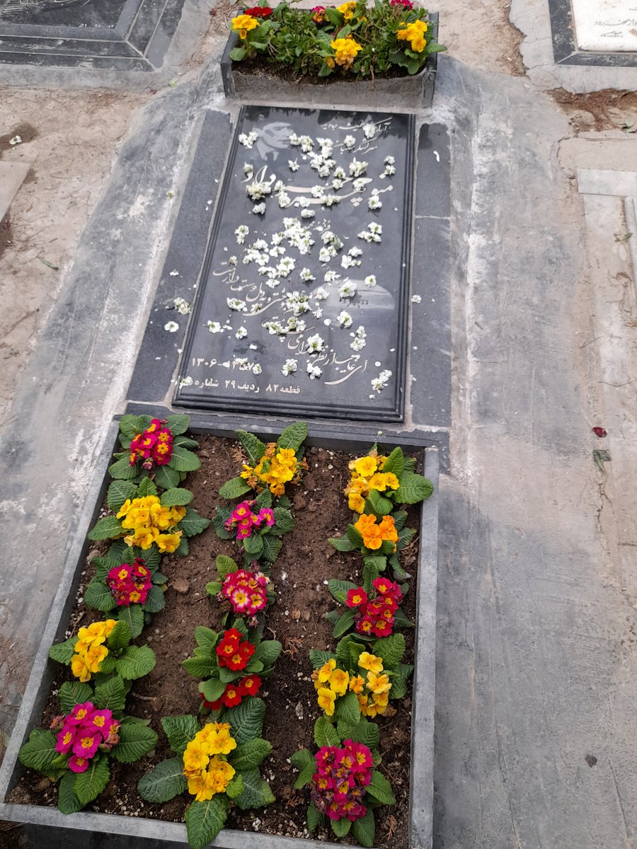 artesh_shah's tweet photo. اگر در حمایت از توماج صالحی چیزی گفتی سیکتیر کن از اکانت من بیرون
هنوز بی غیرت نشدم برای تفکری که سرلشگر منوچهر خسروداد رو تیربارون کردن و توی خیابون رقصیدن و به خمینی تبریک گفتم حمایت کنم

اکانت من جای خائن جماعت نیست
#جاوید_رضاشاه_دوم 
#مرگ_بر_سه_فاسد_ملا_چپی_مجاهد https://t.co/XjSKDOIhgT
