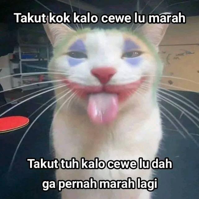 recehtapisayng's tweet photo. https://t.co/IK9ihuuShN