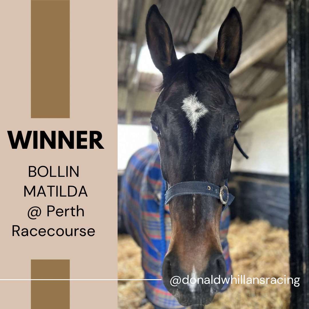 🥇 WINNER 🥇 BOLLIN MATILDA makes it 2wins from her last 2 runs and gives another Hawick born, Dodlands Stables graduate Murray Dodd his first winner under rules. Well done to Owner/Trainer/Breeder @CallumWhillans and the whole team at Dodlands.