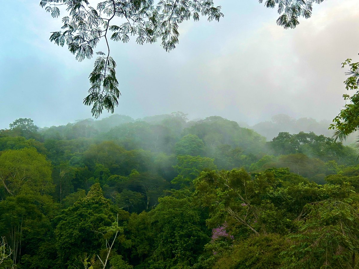 Claire Williams tweet media