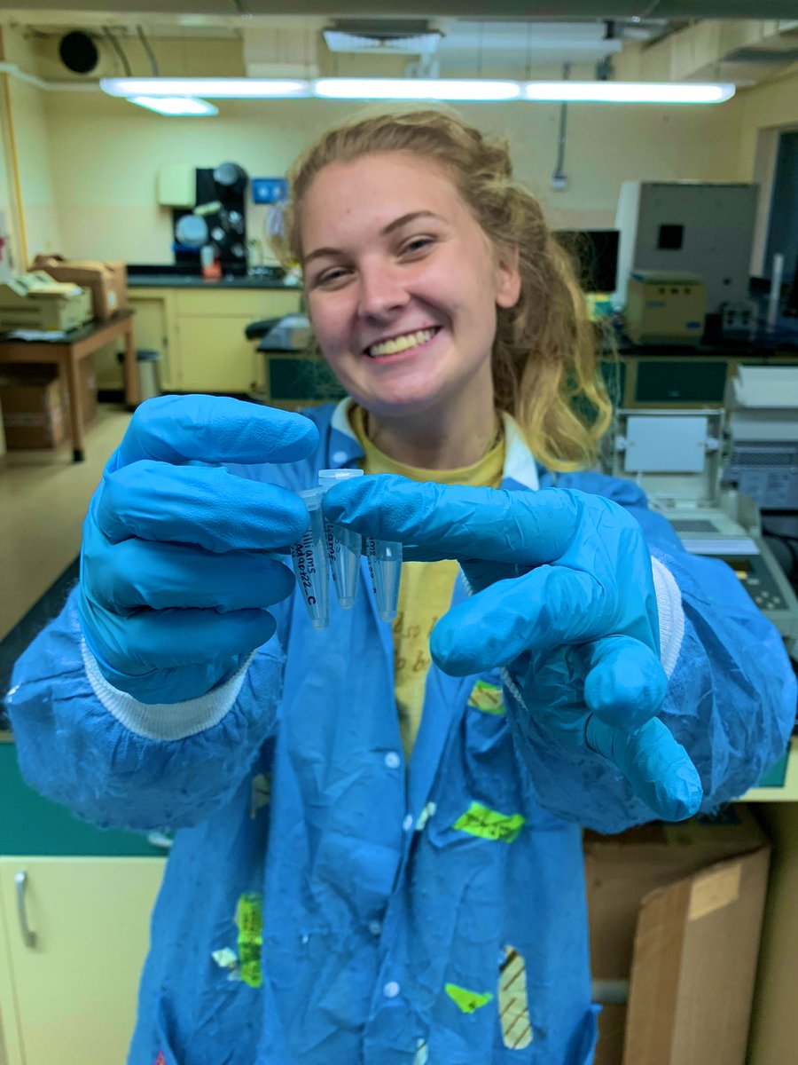 Claire Williams tweet media