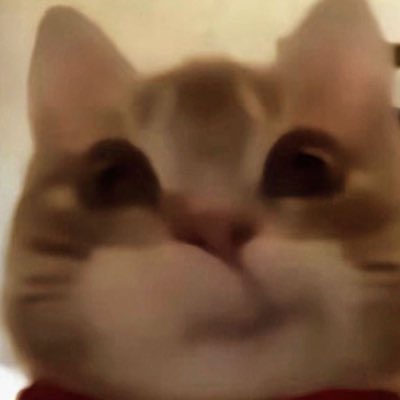 shadyzim's tweet photo. #YeniProfilResmi https://t.co/mCj3tOSWHt