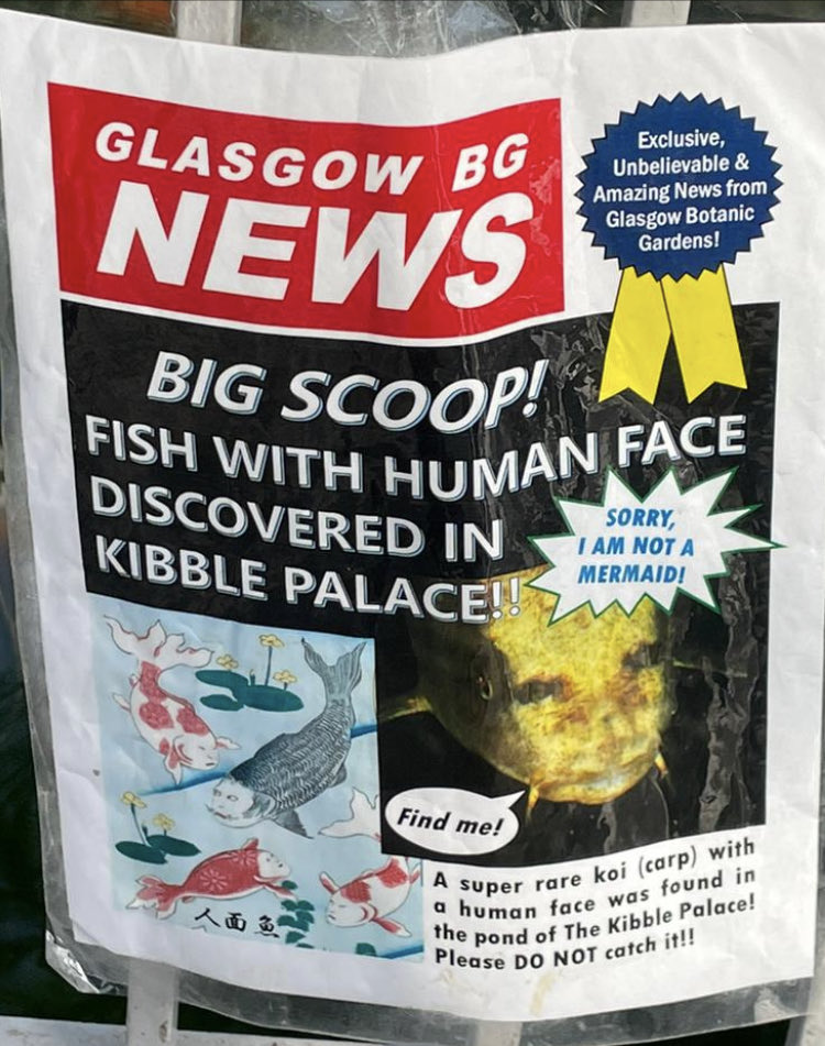 Meanwhile, in #Glasgow…