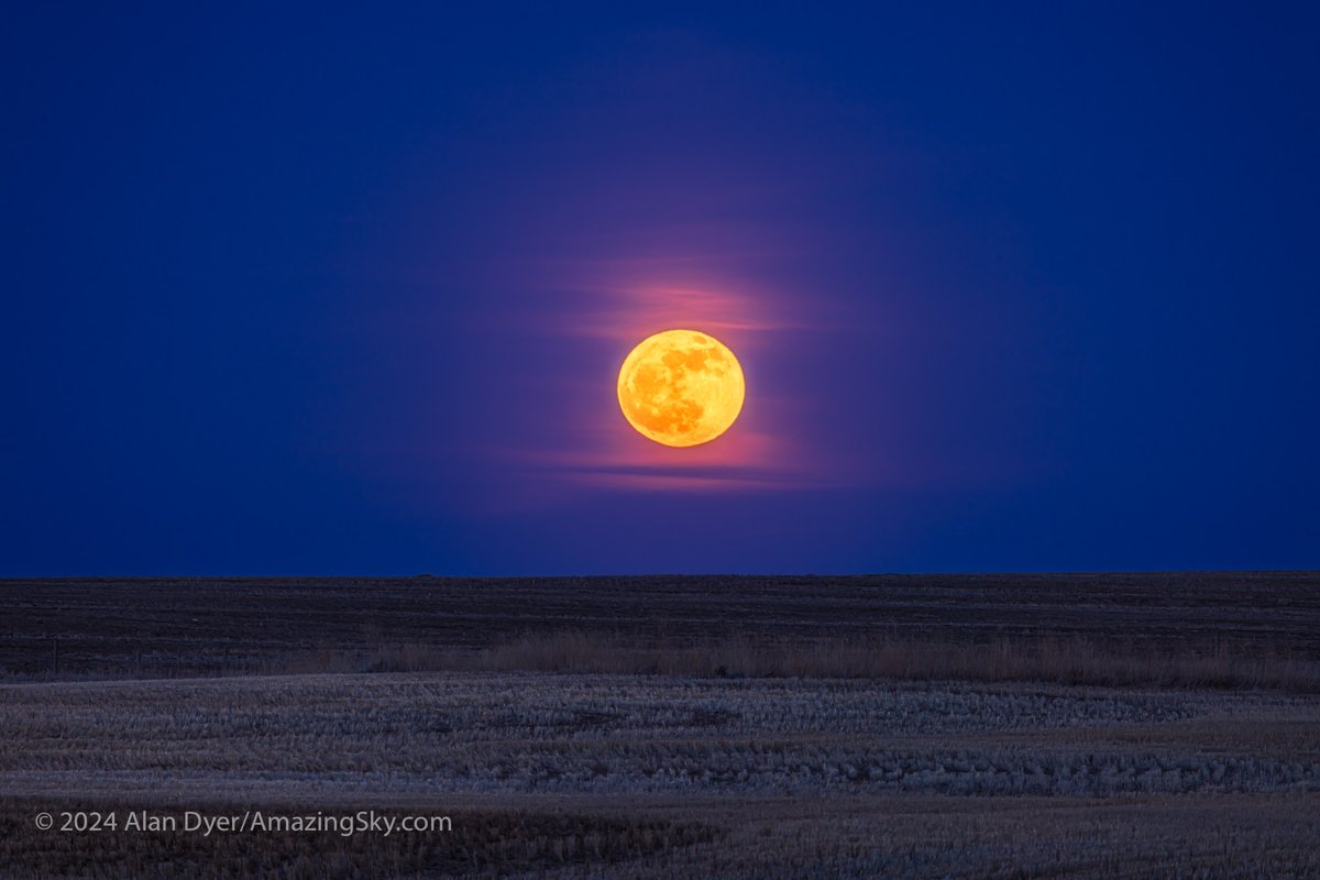 The rising of the Full Moon of April 2024, over a prairie field yet to be seeded. This is popularly called the Pink Moon or Frog Croaking Moon. Shot from home in southern Alberta on April 23 with a 400mm lens. Details in the Alt Text. #fullmoon #PinkMoon