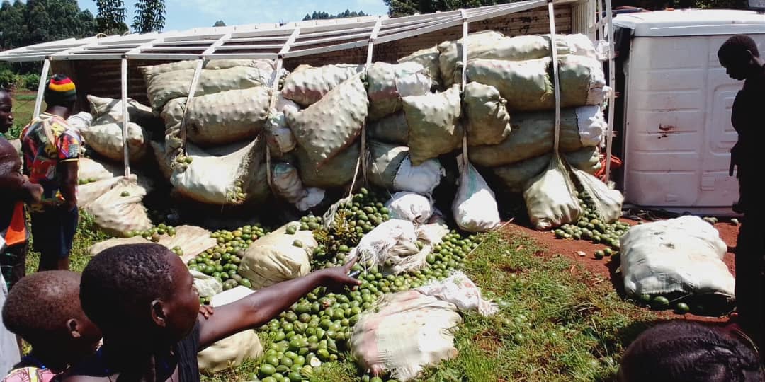 Sam Rwothomio tweet media