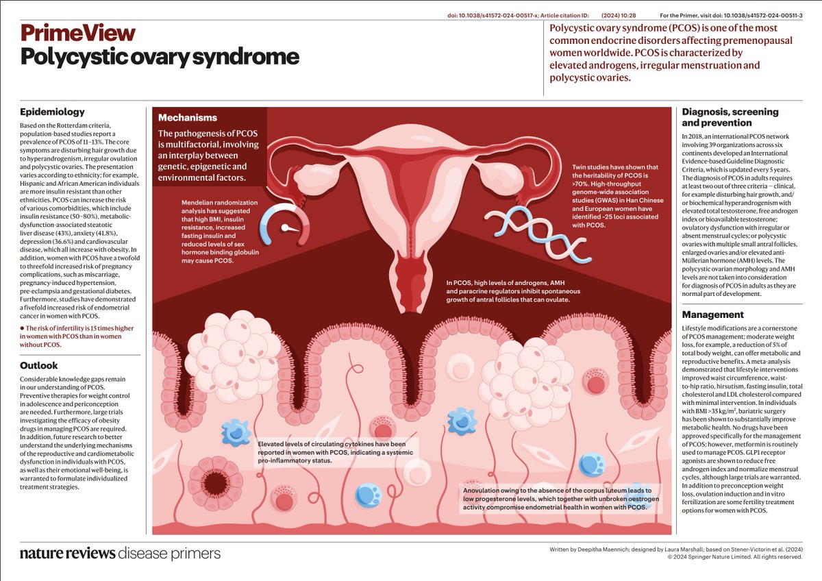 #PCOS is characterized by elevated androgens, irregular menstruation and polycystic ovaries go.nature.com/49I6J8A