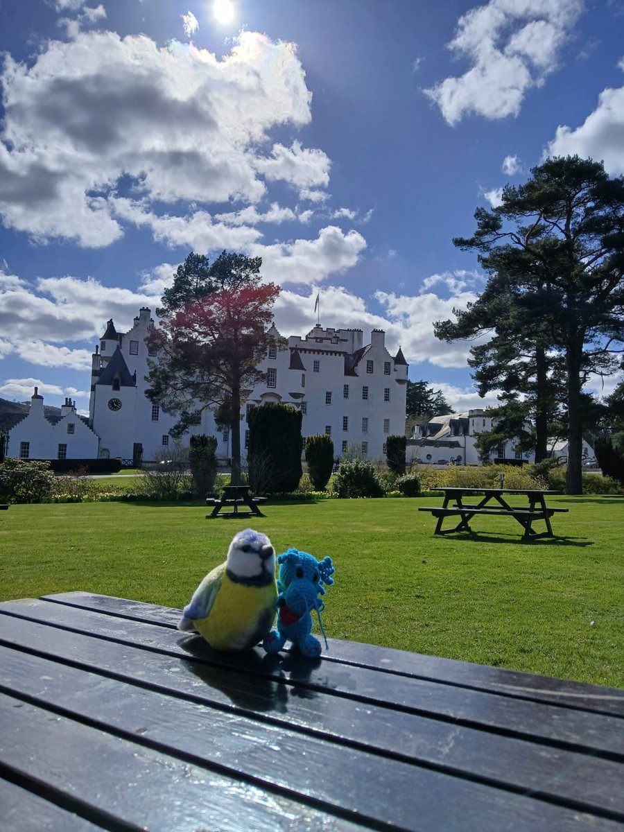 Heute ging es von Falkirk nach Nevtonmore, aber nicht gerade, nein mit Halt am Krönungsstein, einer Whisky Destillery, einem kleinen Städchen und Blair Castle. Die #Reisemeise hat keinen Alkohol bekommen!