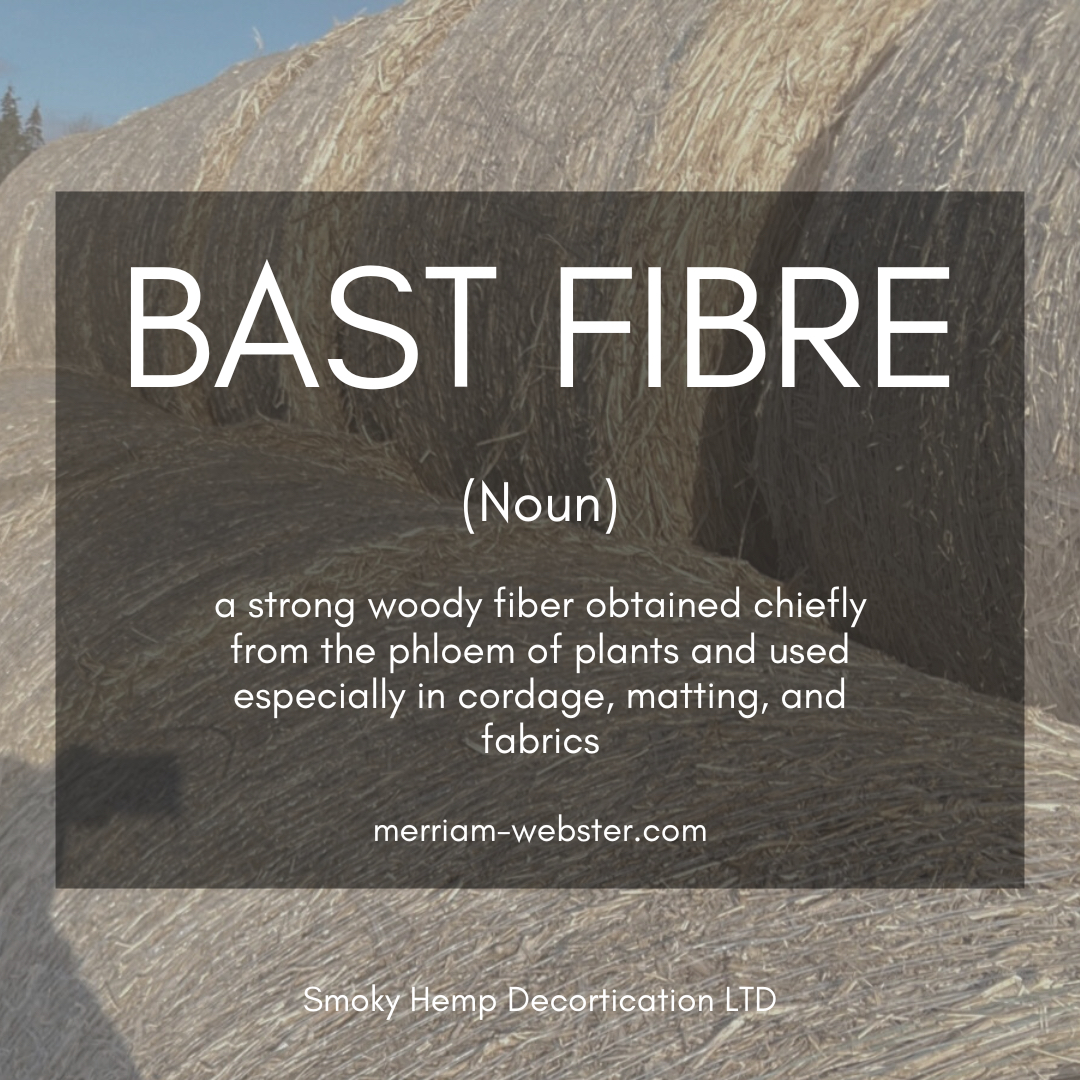 Bast is the portion of the plant stalk that is in the outside. Bast makes up somewhere around 20% of the stalk. The end uses for bast are rope, textiles, fabric and more. 
#SmokyHempDecortication #CanadaHemp #AlbertaHemp #Agriculture #ABagriculture #CdnAg #ABgrows #IndustrialHemp