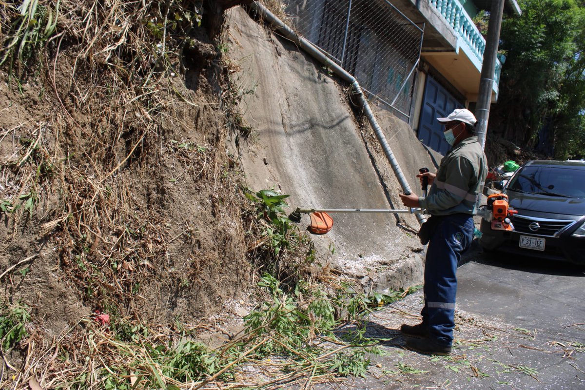 Alejandr0Nochez's tweet photo. 📍 #Ayutuxtepeque
Realizando trabajos de limpieza y chapoda en la Comunidad Tanque Seco en el Casco Urbano, pedimos a todos la colaboración para que tengamos un municipio limpio.
TU BIENESTAR ES MI PRIORIDAD.
Alejandro Nóchez
"Cerca de la Gente". https://t.co/0nkrhswcE4
