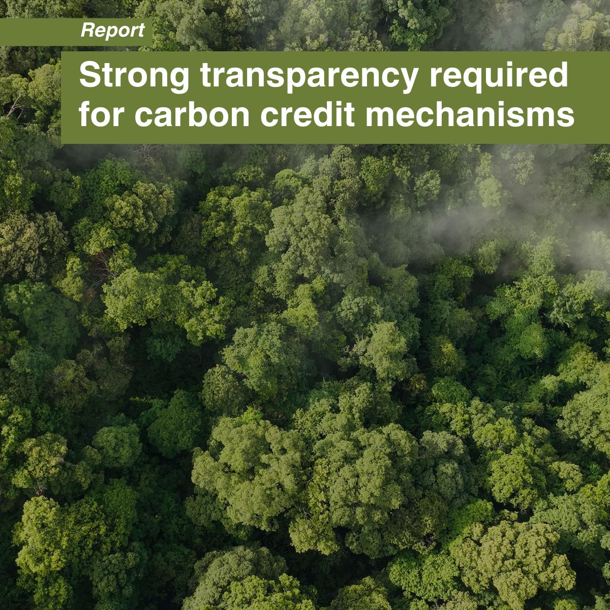 Transparency continues to remain a core issue in the voluntary carbon markets. A new guidance explores the extent and type of transparency that regulators and other stakeholders should seek to increase the credibility of carbon credits: tinyurl.com/22bm2mwm
