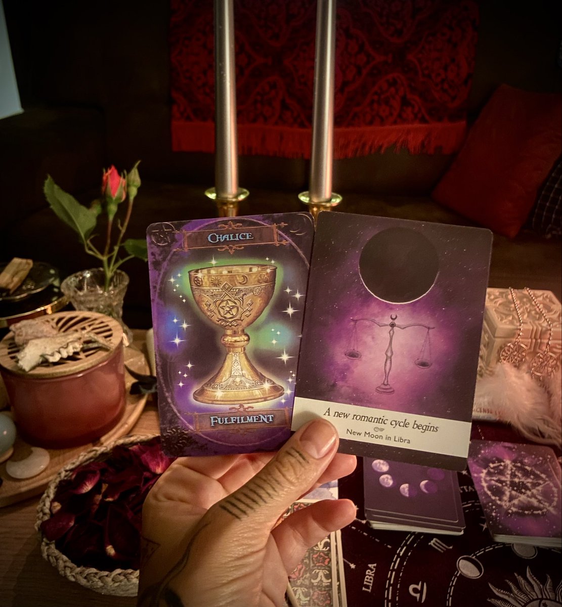 LunaMothTarot's tweet photo. 🦋✨ RADIM DA NE ODGOVORE NA VAŠA PITANJA KORISTEĆI MOJE OMILJENE ORACLE KARTE ✨🦋
Potrebno je da se javite u DM sa pitanjem koncipiranim tako da se može odgovoriti sa da ili ne.
Odgovaram svima odmah a biću tu naredna dva sata vama na usluzi! 
Hvala svakome ko ovaj post podeli 🙏🏼🔮
Izvolite u LunaMoth kancelariju! 🦋
