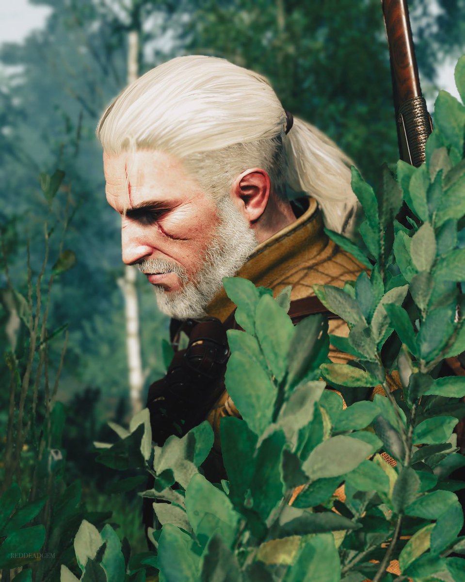 🤍🍃

#GeraltofRivia #TheWitcher3 #SocietyofVirtualPhotographers #TheCapturedCollective #ArtisticofSociety #VirtualPhotography #ThePhotoMode @witchergame