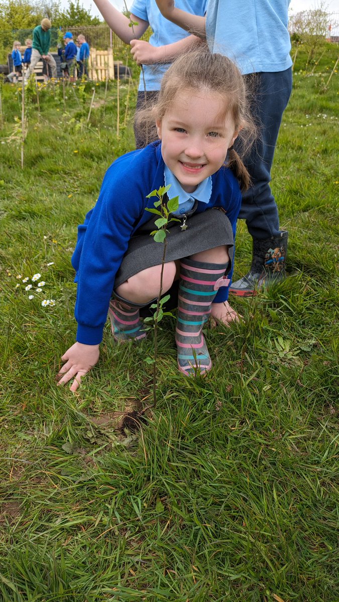 Bl1 planted @CoedCadw @WoodlandTrust saplings🌲🌳 this afternoon to enhance our school grounds , help provide habitats while also helping the planet 🌍 #SVCPOutdoors #WalesOutdoorLearningWeek @EcoSchoolsWales