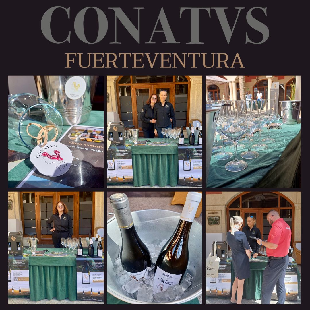 BodegaConatvs's tweet photo. Hoy en el Hotel ELBA PALACE en FUERTEVENTURA ha tenido lugar una reunion con los agentes de JET2HOLIDAYS. El objetivo de reunion fue presentar la oferta turística de FUERTEVENTURA. Muchísimas gracias MTS GLOBE por invitarnos. #conatvs🍷 #elbapalacegolf #mtsglobe #jet2holidays https://t.co/NtDETspE7d