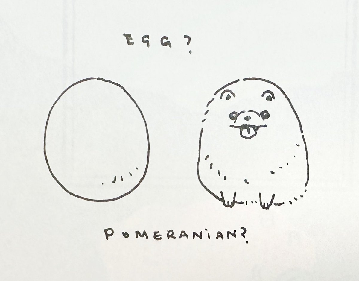 My favourite game
Egg or pomeranian?