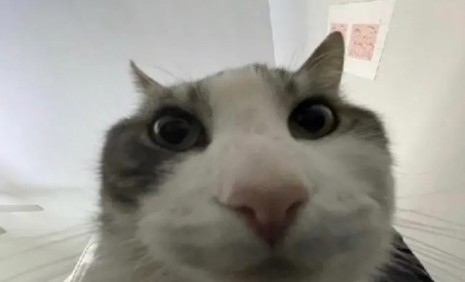 Light_Hank0's tweet photo. @NoahPiolaVT Nosé porque tenía desactivado la opción de recibir mensajes pueda ser que las desactive en algún momento y no me di cuenta (pd: ya está activa si esque entre me lo puede reenviar porfavor) https://t.co/k8WEvfyEvh