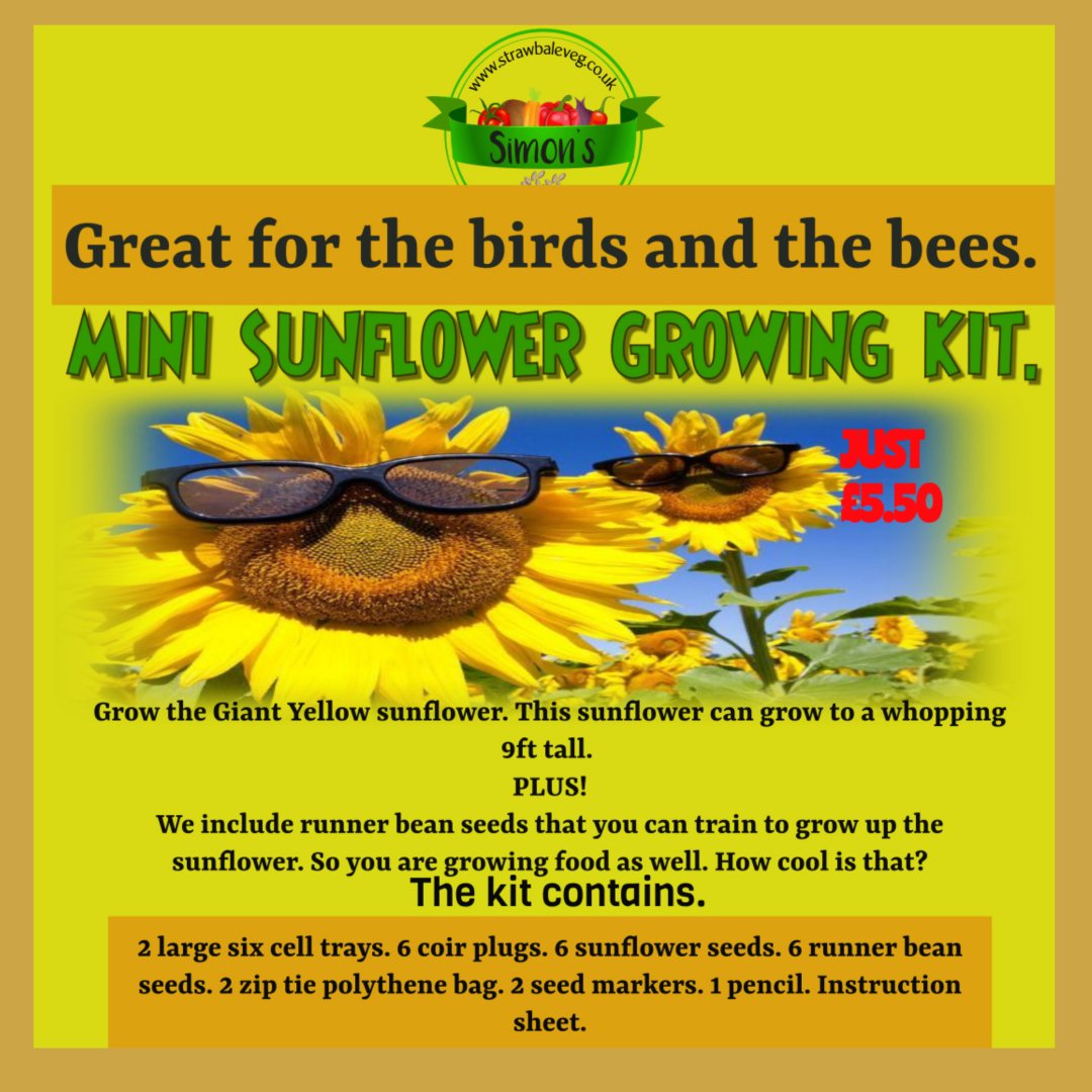 SimonsSeeds's tweet photo. Organising children's parties can be daunting. We can help. Our Mini Sunflower Growing Kits are perfect to give out at parties. In fact they are great for all sorts of occasions. Discounts for quantity. https://t.co/5RUnSKOpI2 #childrenspartygifts #gifts #partygift #LincsConnect https://t.co/5UGCMc1TFE