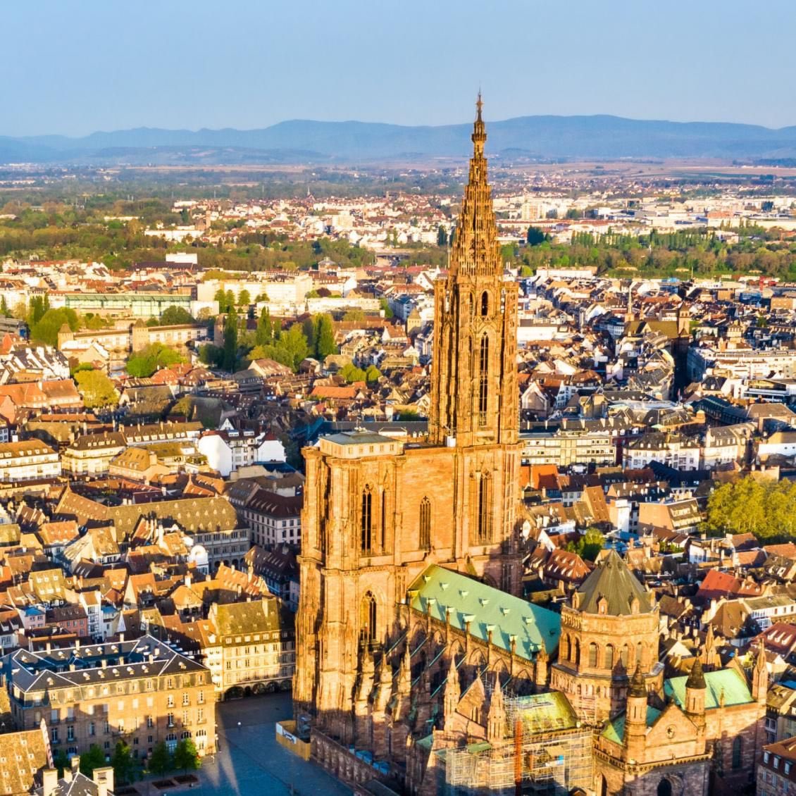 🇫🇷 Strasbourg devient la capitale mondiale du livre jusqu'en 2025 ! C'est la première ville française choisie par l'UNESCO pour accueillir des évènements littéraires et des auteurs du monde entier ! 📚(Le Parisien)