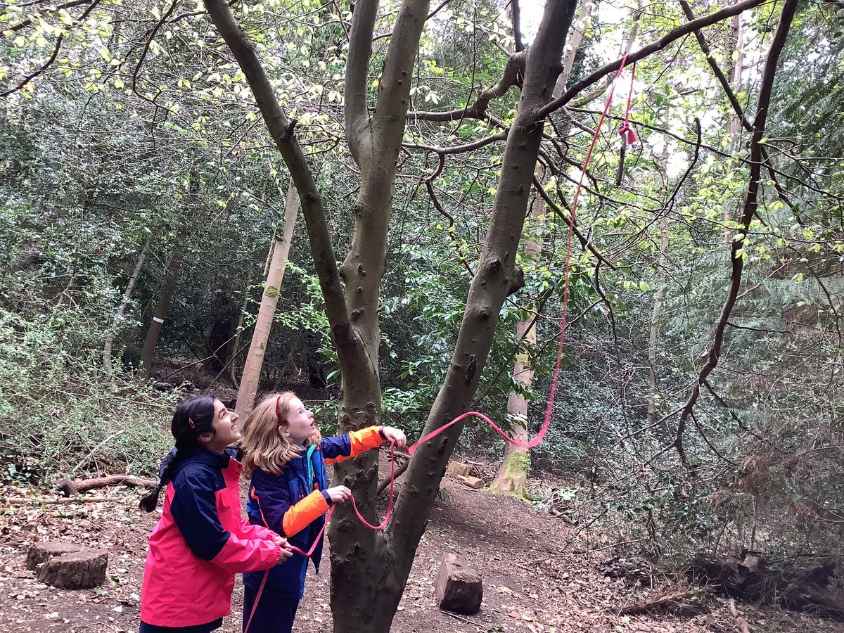 THSch_OutdoorLearning tweet media