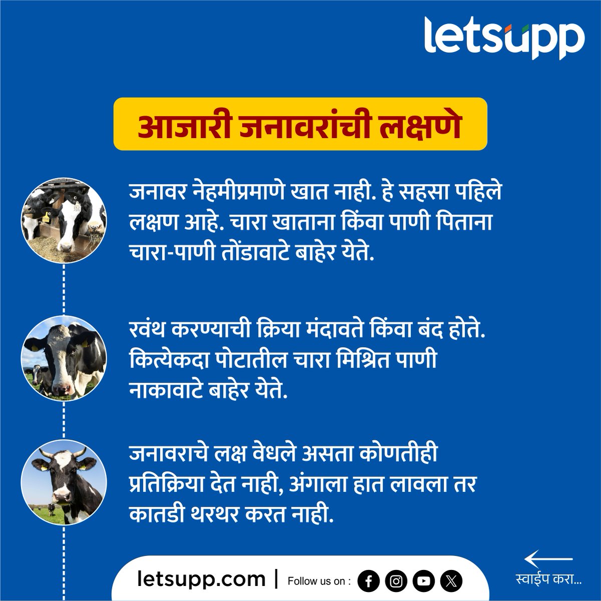 LetsUppMarathi's tweet image. शेतकरी मित्रांनो आपल्या आजारी जनावरांची अशी करा...
-
#AnimalDisorder #AnimalCare #SkinDisease #animaldisease #dailyupdates #LetsUppMarathi