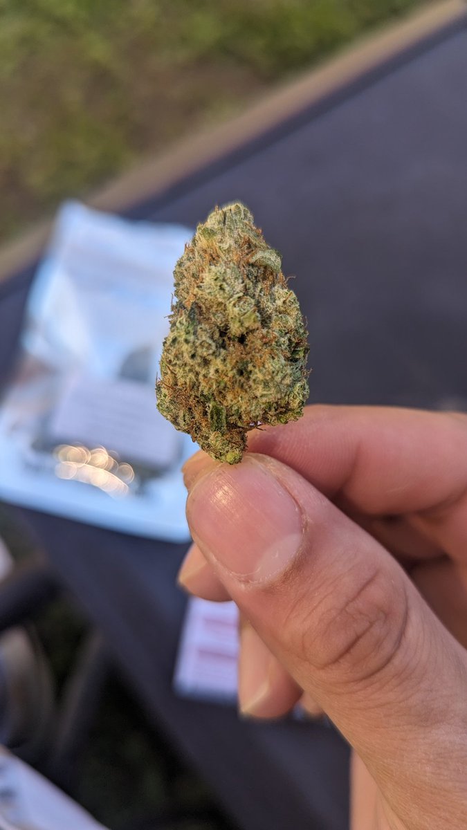 CircleKWeScrate's tweet photo. @thegascompany @justfeats Yoda OG https://t.co/lVi1jQsRjJ