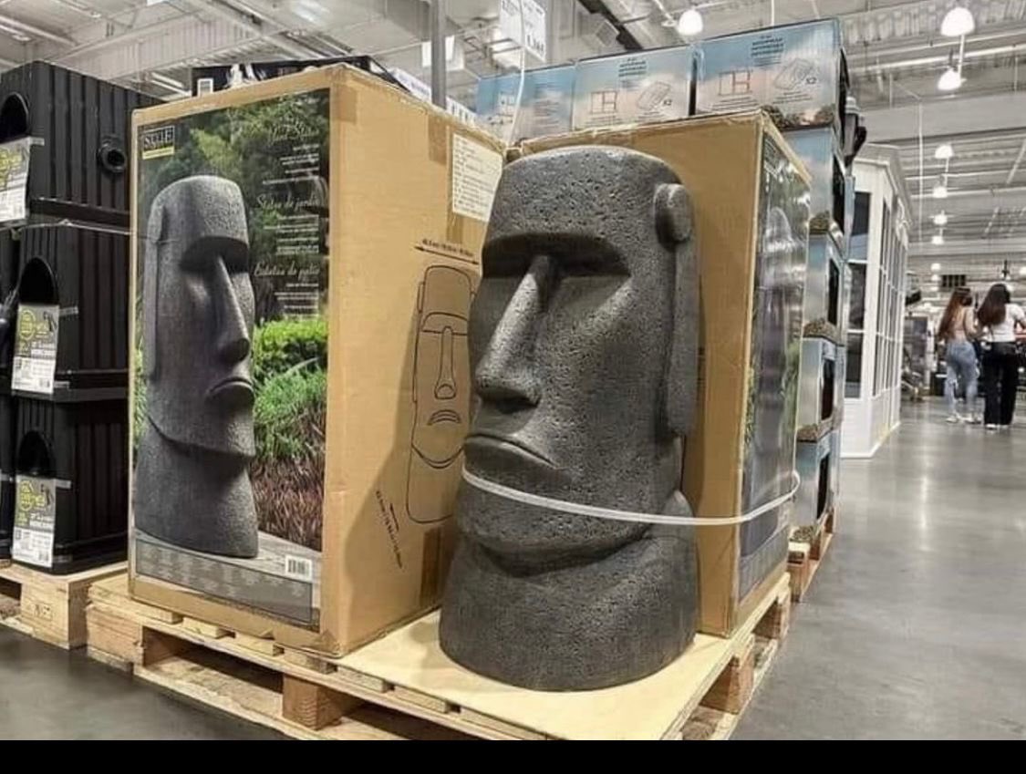 Besteld voor de voortuin. Komt morgen binnen. 🤩
