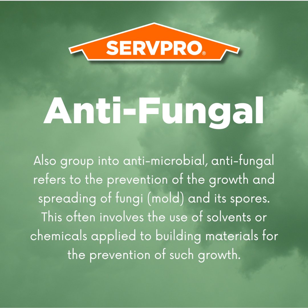 Our Wednesday Word of the Day is Anti-Fungal📖 #wordoftheday
