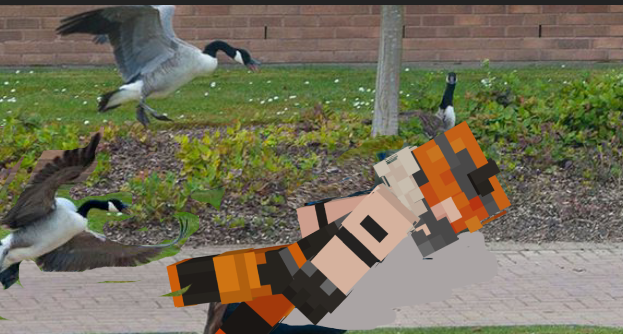 dualityquotebot's tweet photo. today Hellmouth is getting chased by geese https://t.co/J5AnZYjX7S