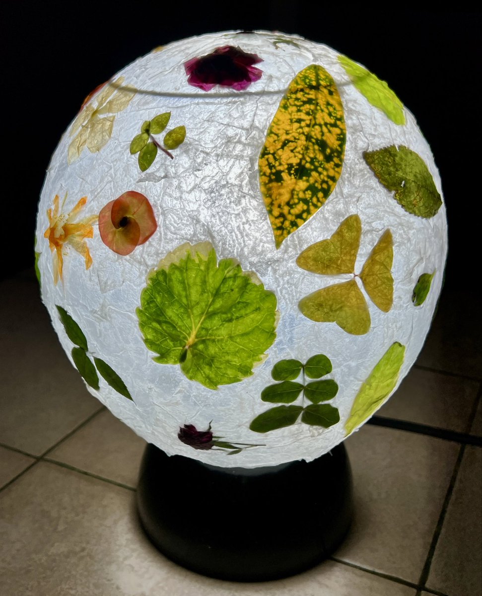 Lámpara #ecologica #disfelstierra