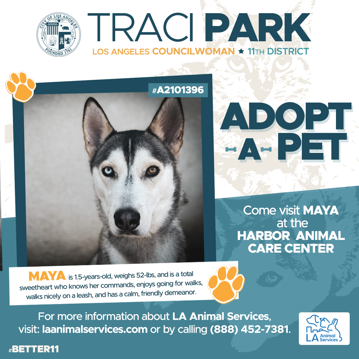 Meet Maya #A2101396, our CD11 #petoftheweek

Maya is a total sweetheart who knows her commands, enjoys going for walks, walks nicely on a leash, and has a calm, friendly demeanor. Maya is 1.5-years-old, weighs 52-lbs, and is available for adoption from our Harbor Center.