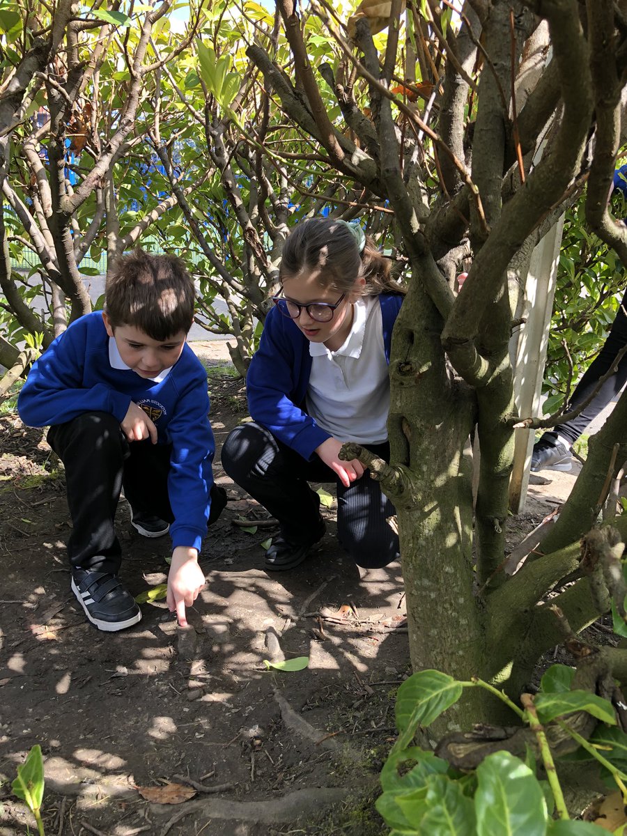 Class 3/4S tweet media