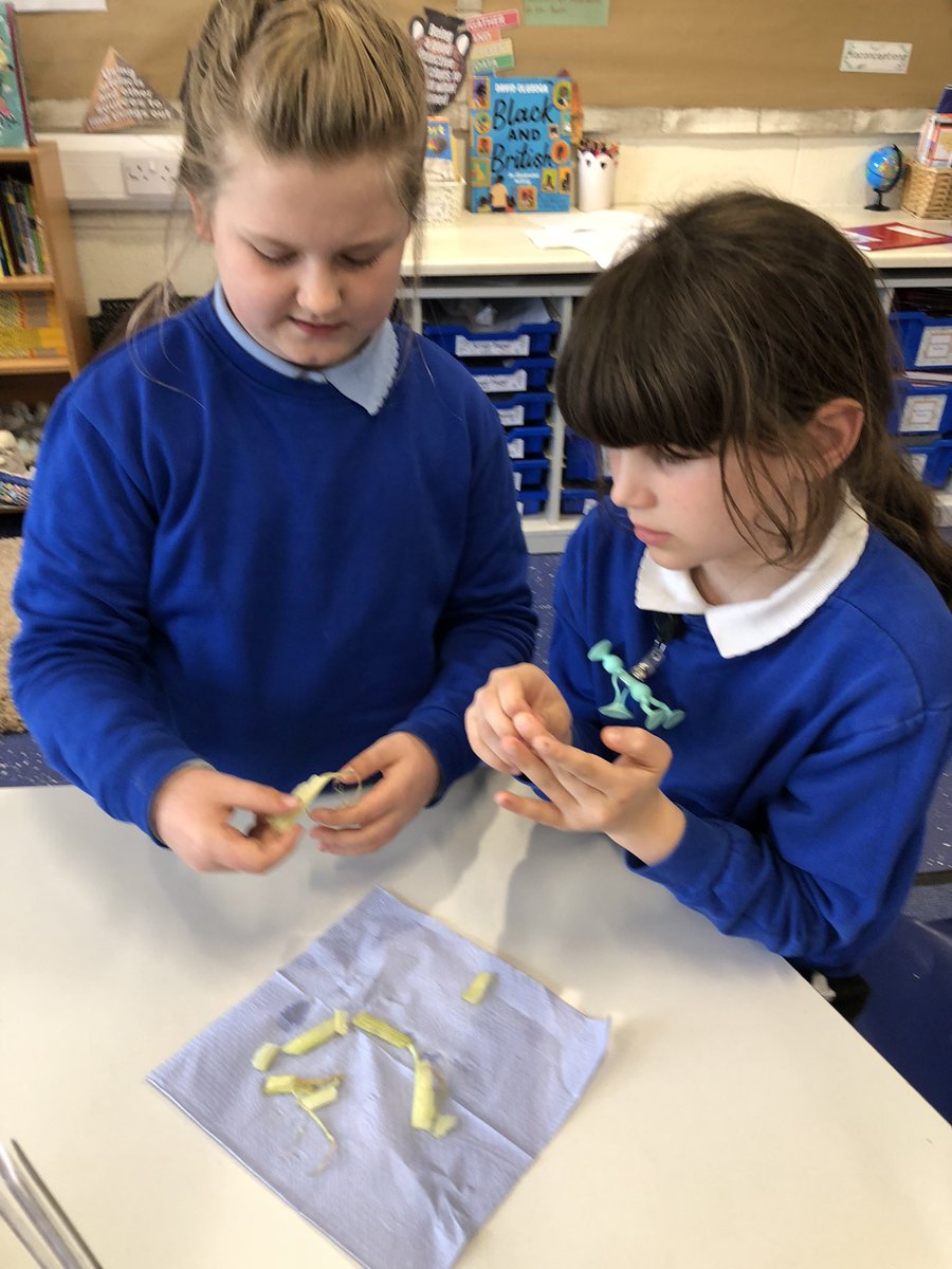 Class 3/4S tweet media