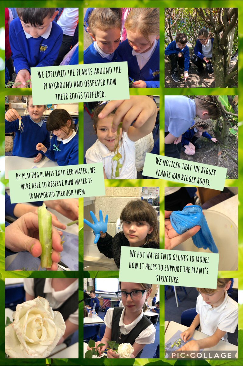 Class 3/4S tweet media