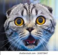 ItsMiw123's tweet photo. When you realize tomorrow is Monday 😩 #SundayScaries https://t.co/5VowaHlPoE