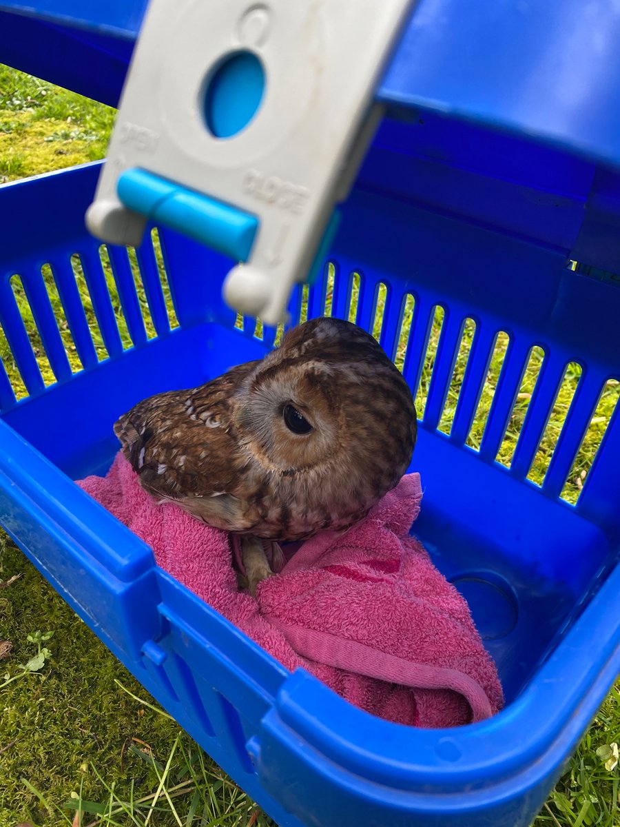 Stephen Howell tweet media