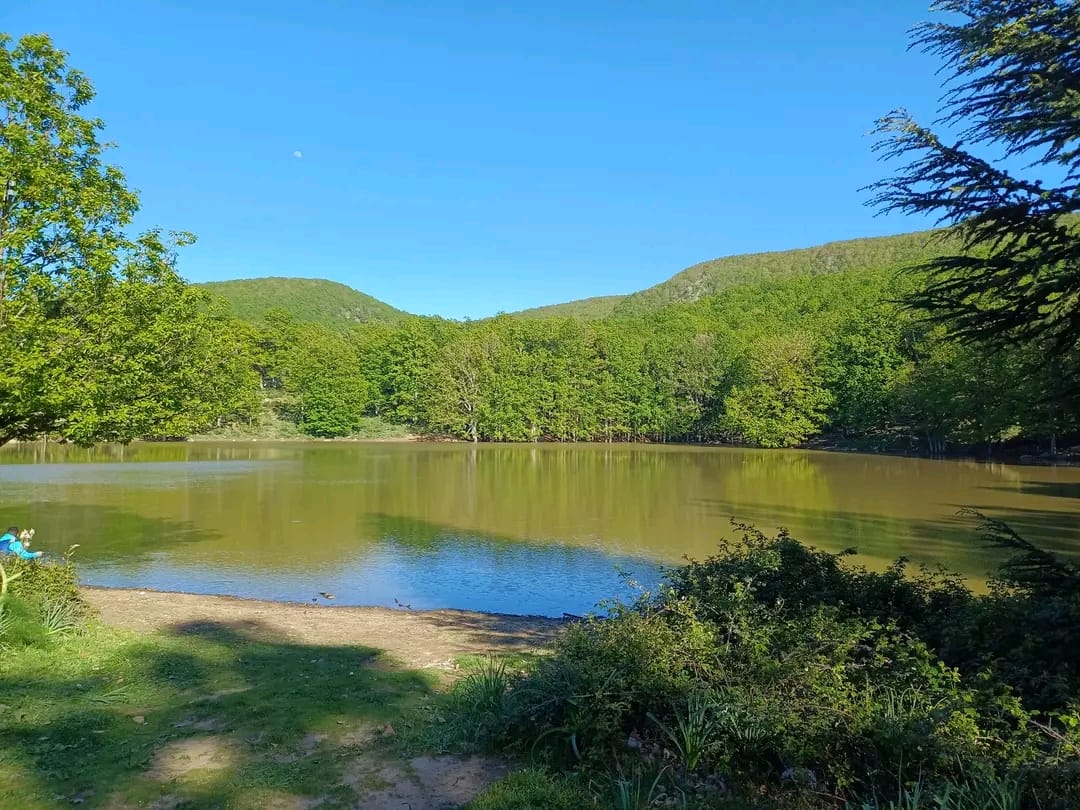 ZiremYoucef's tweet photo. Agwelmim aberkan, le lac noir, sur les hauteurs de l'Akfadou, en Algérie, un endroit paisible qui inspire tranquillité et paix ( merci à Azazga 24 pour la photo ) https://t.co/uC1sfIaC7E