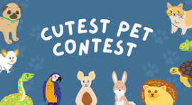 ItsMiw123's tweet photo. 🐾 Show us the cutest photo of your pet! The pic with the most likes wins a prize! #PetPhotoContest https://t.co/g1p71EcWlu