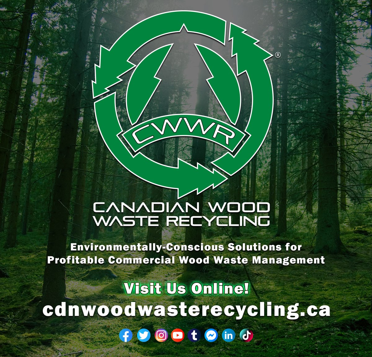 🍃 Transforming Wood Waste into Opportunities 🍃
We equip you with the tools to grow your recycling business, drive economic and environmental success.🌿💼 🔗 cdnwoodwasterecycling.ca #WoodRecycling #Sustainability #EcoInnovation #CanadianBusiness