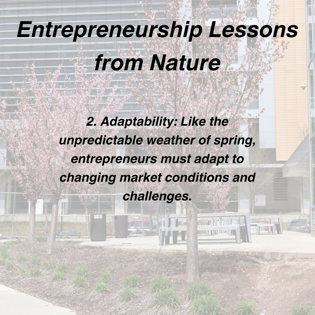 Embracing change is key to success in entrepreneurship. 🔄💼 Learning how to staying adaptable can lead to innovation and growth. #Adaptability #Entrepreneurship