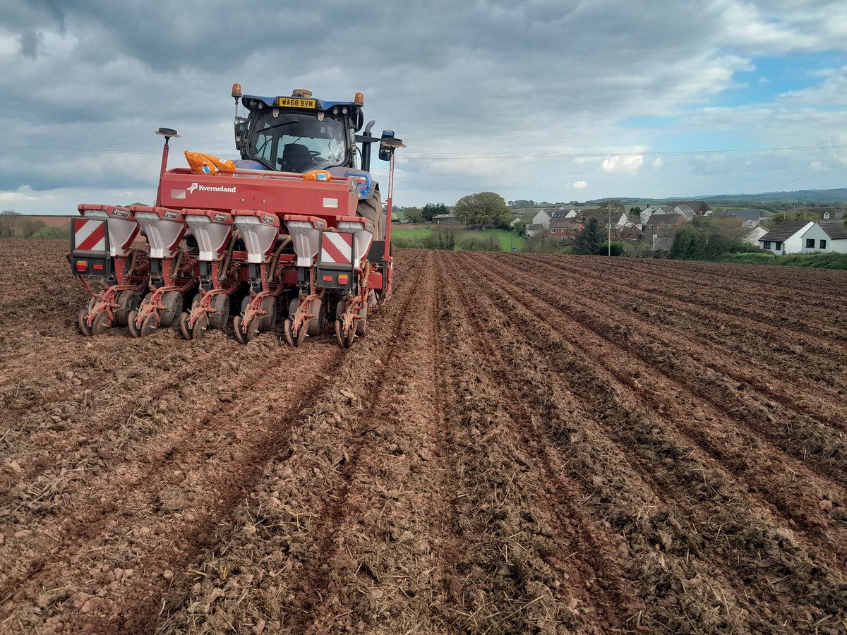 The #striptill maize season has started. Fantastic soil moisture this year which should help hugely. We are Devon based, have work booked up in Somerset. If you would like to try it please get in touch