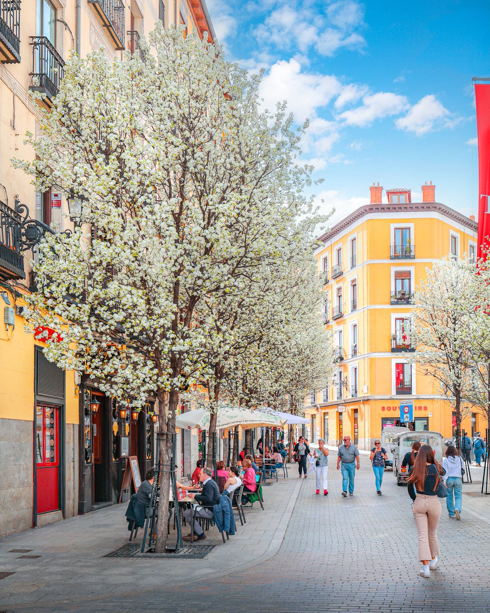 Madrid ya se viste de Privamera! 🌸 Flores, mucho color y sol son los ingredientes de una estación perfecta para conocer cada rincón de esta ciudad. 📷Plaza de Isabel II. (Ópera) #VisitaMadrid #Spring #Primavera #Madrid