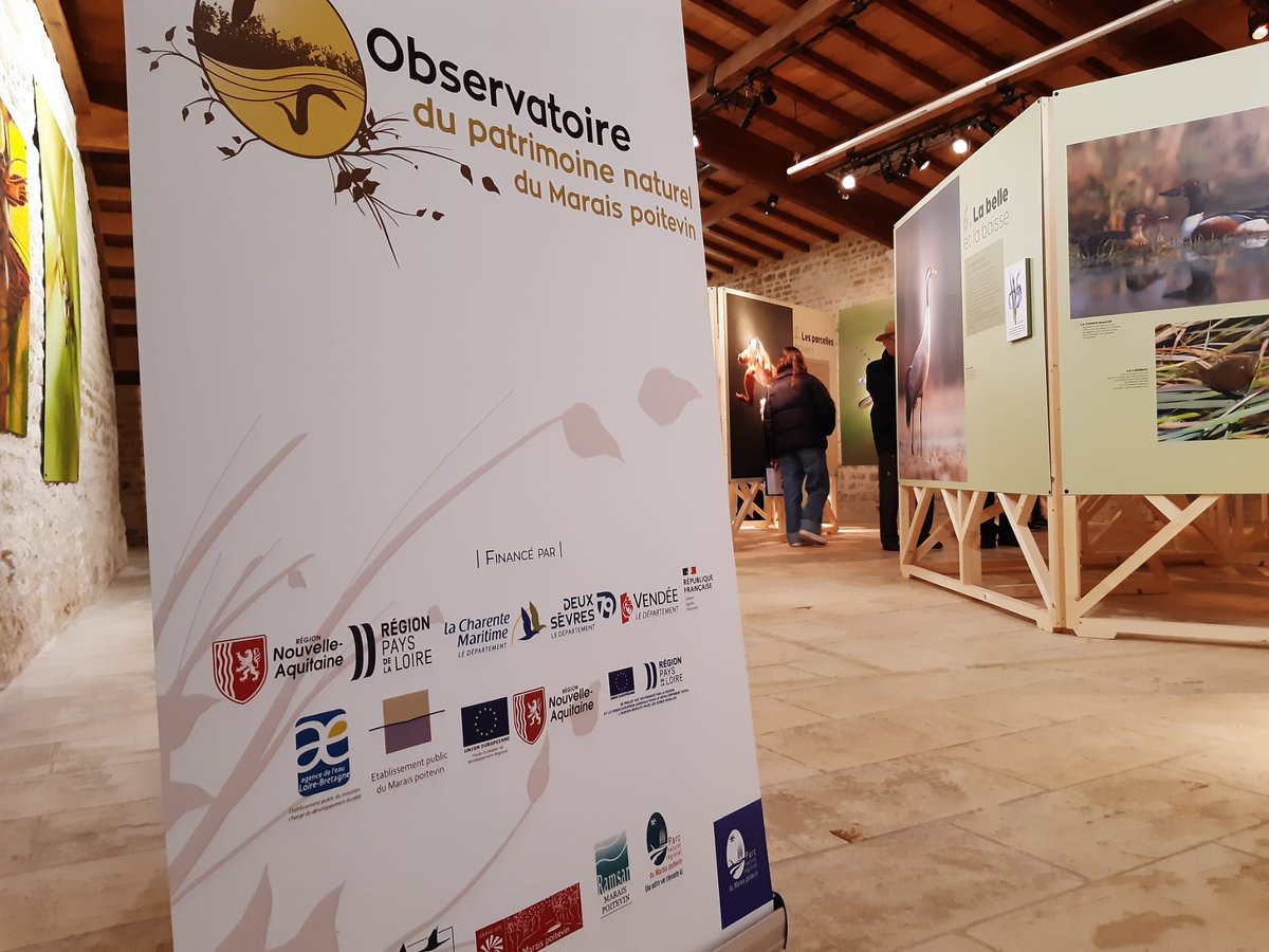 [ ÉVÉNEMENT ] 🤩🌾🐿️ « Balade nature dans le Marais poitevin » imaginée et conçue par le @pmaraispoitevin à la Maison du Marais poitevin. Pour petits et grands: une immersion dans la richesse exceptionnelle des paysages, des espèces animales et végétales du Marais poitevin