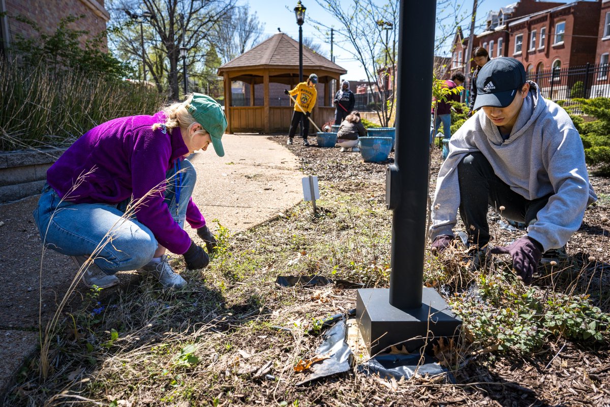 Earlier this month on the Day of Service student volunteers dedicated their time and energy to various initiatives in the city we call home. Thank you to all the incredible volunteers for embodying the spirit of community and working to make a meaningful impact #InSTLforSTL.