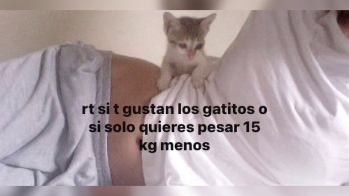 Denle