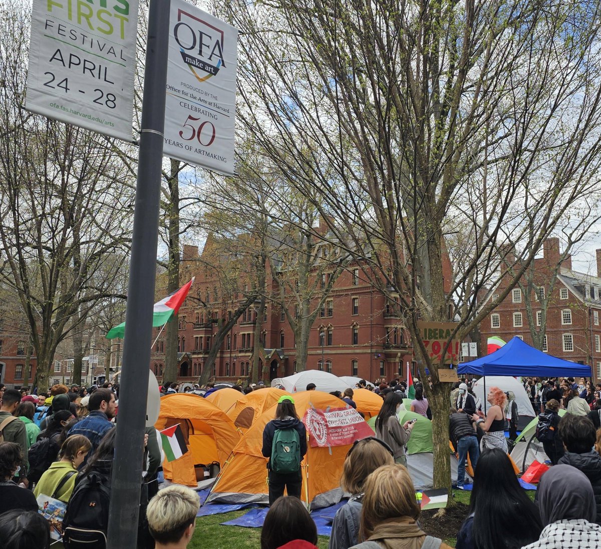 taliaotg's tweet photo. Harvard has launched a Gaza Solidarity Encampment https://t.co/LOiF9zyRd0