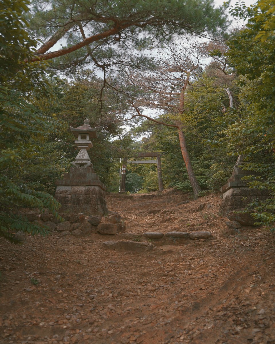 2023.06.18.

#fujifilm #xt3 #photography #photo #PhotoOfTheDay  #japan #instagood #inuyama #nature #forest #rock